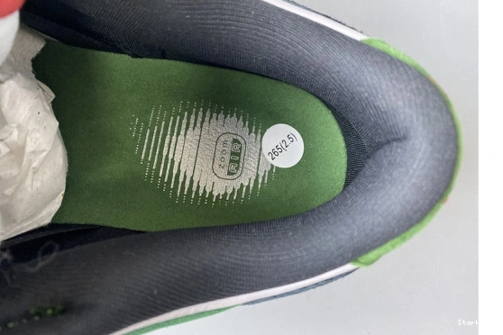 SB 304292-302 Low Dunk Nike Heineken 0728